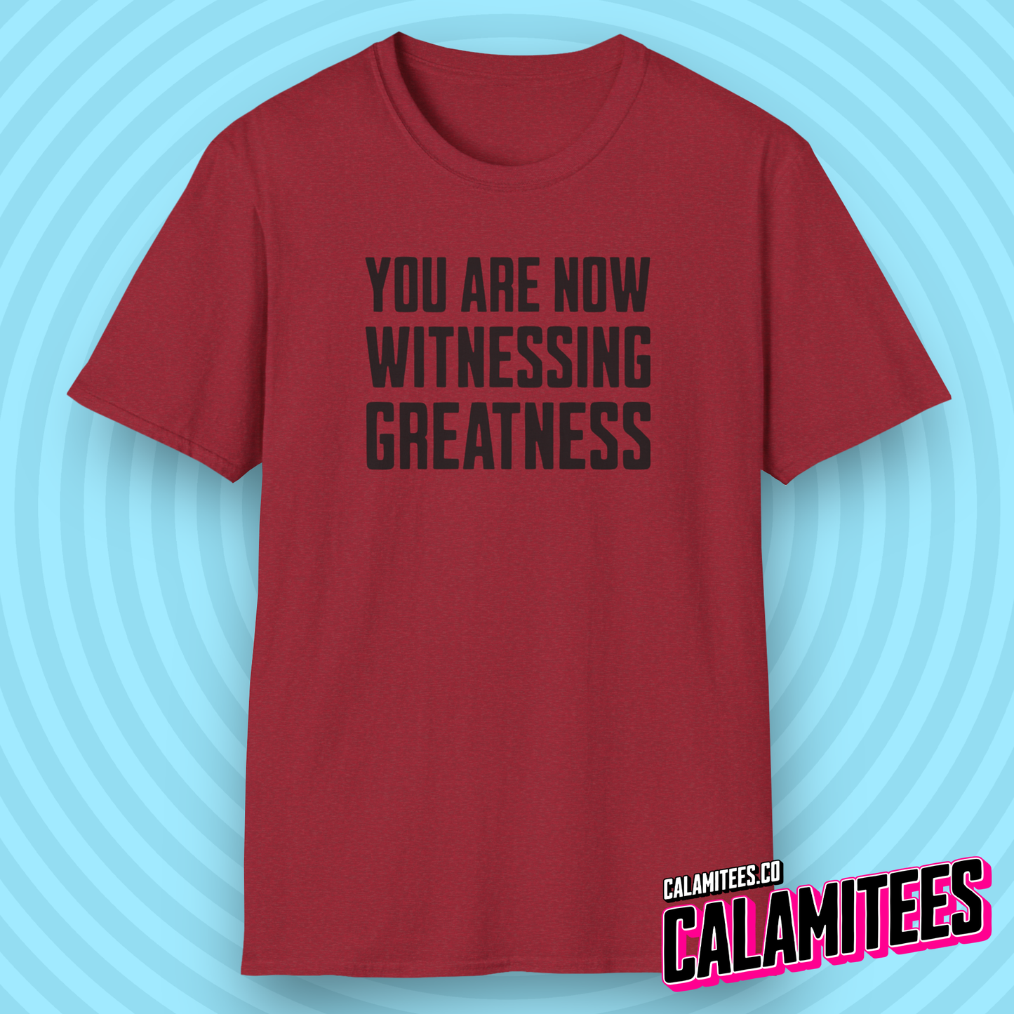 You Are Now Witnessing Greatness Funny T-Shirt