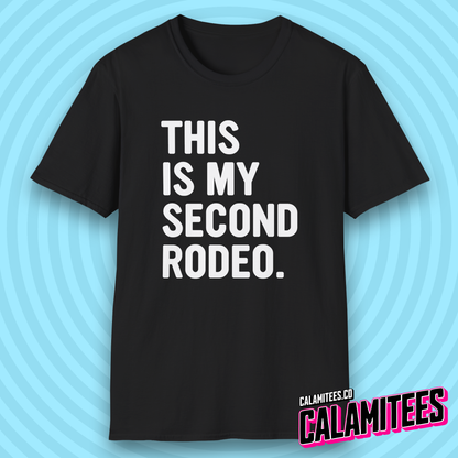 This Is My Second Rodeo Sarcastic Bold Type Funny T-Shirt
