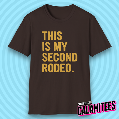 This Is My Second Rodeo Sarcastic Bold Type Funny T-Shirt