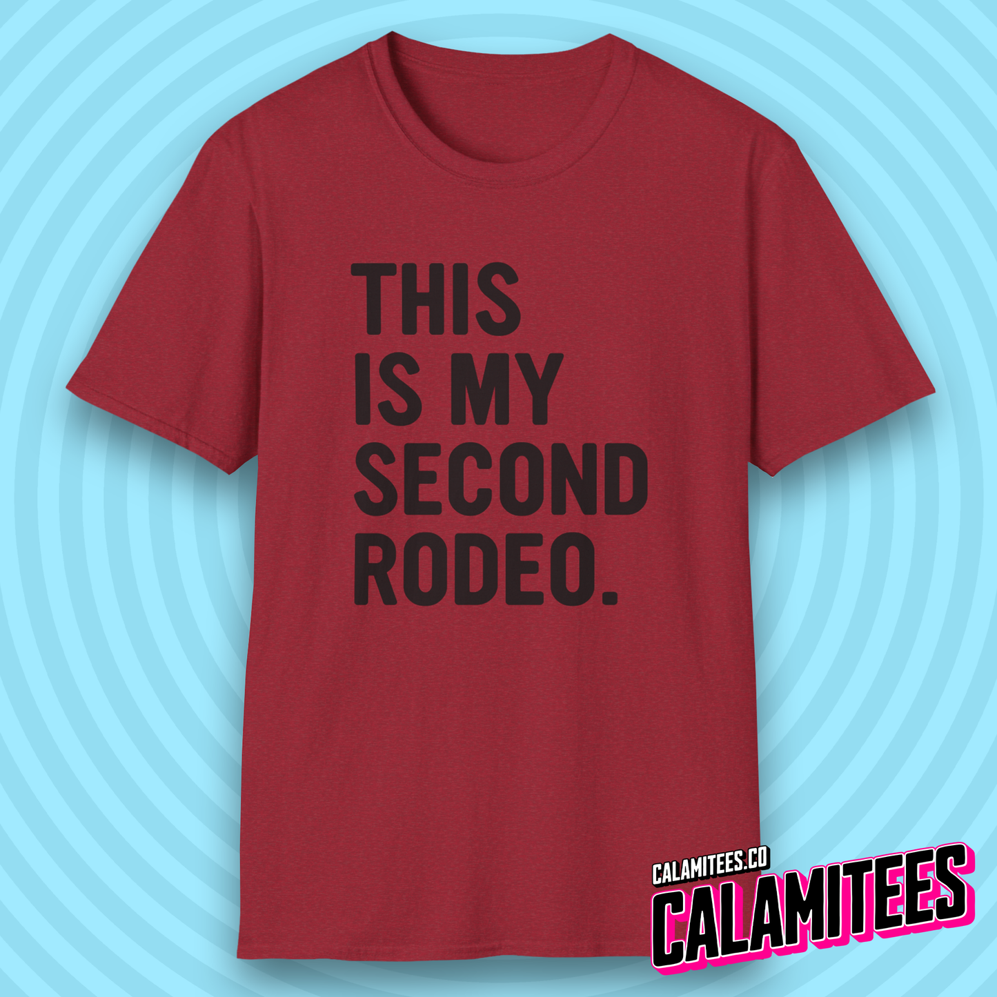 This Is My Second Rodeo Sarcastic Bold Type Funny T-Shirt
