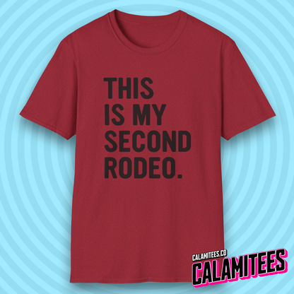 This Is My Second Rodeo Sarcastic Bold Type Funny T-Shirt