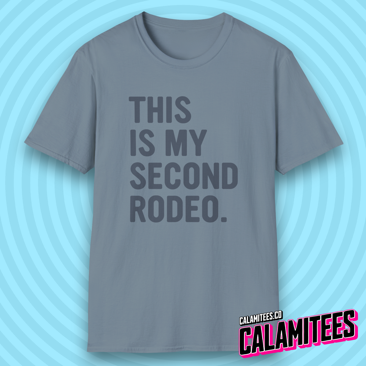 This Is My Second Rodeo Sarcastic Bold Type Funny T-Shirt