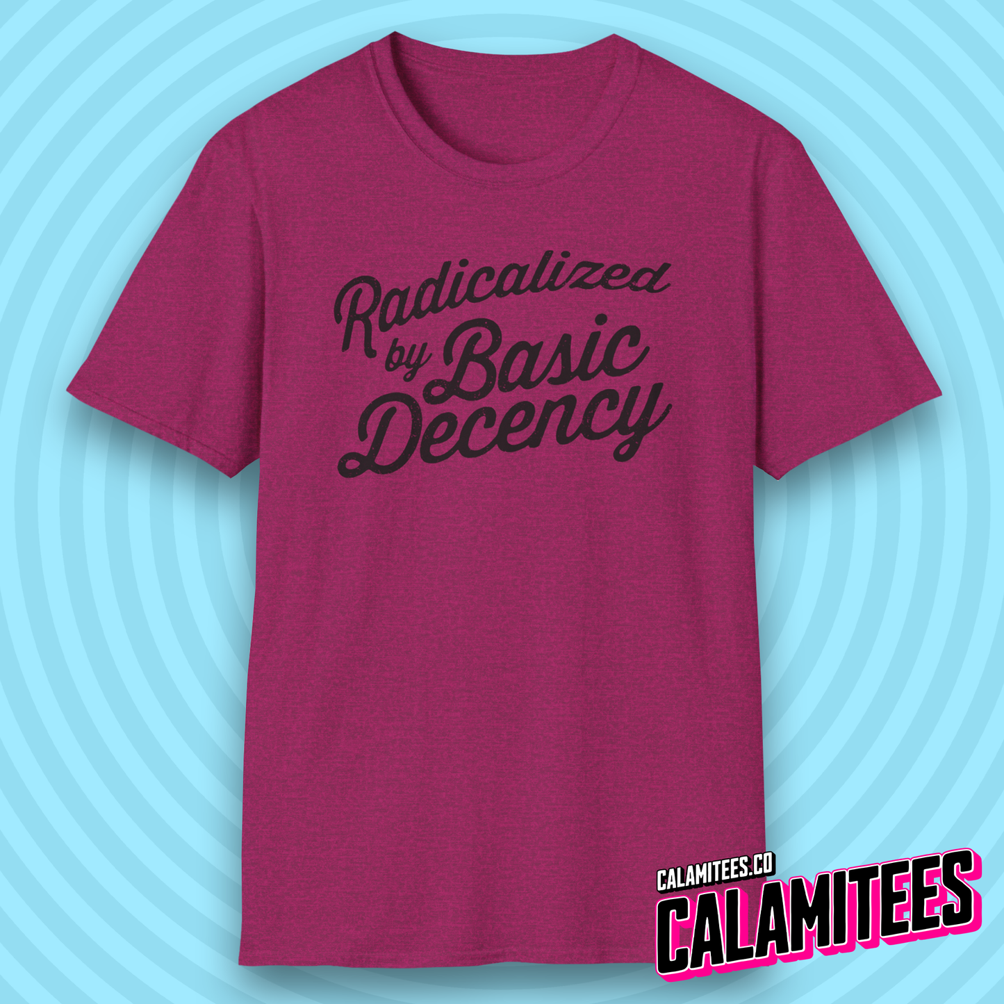 Radicalized by Basic Decency Mildly Distressed Text T-Shirt